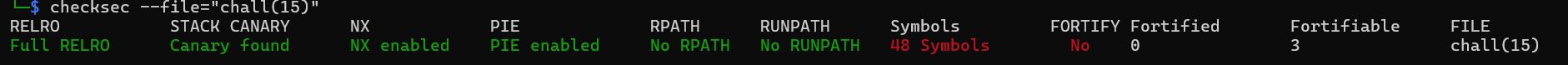 checksec