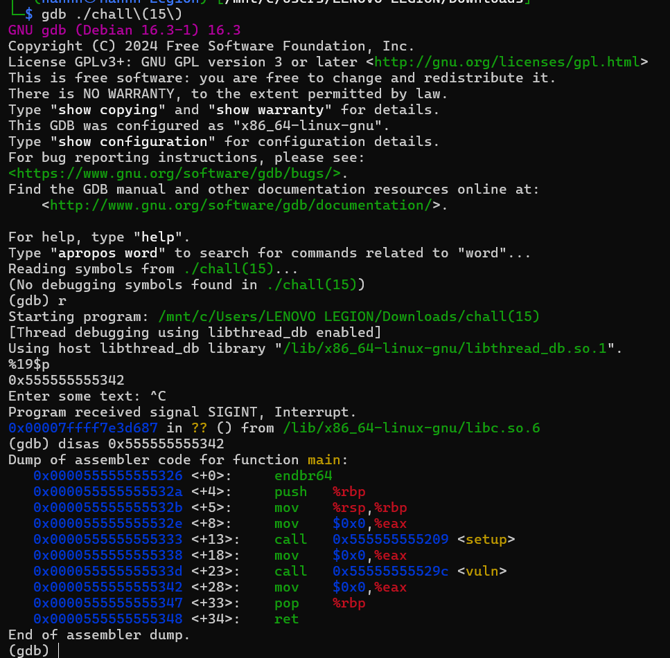 main address leak but not really