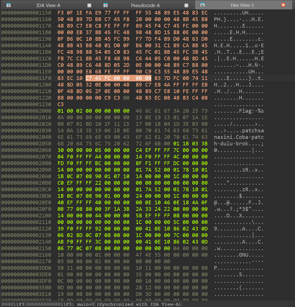 hex bytes of instruction